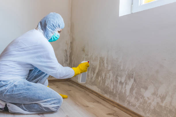 Licensed Mold Removal service in Bentonville, VA - WQB Mold Removal