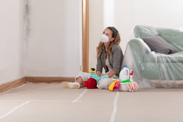 Trusted Mold Removal service in Bentonville, VA - WQB Mold Removal